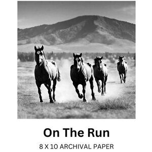 ORIGINAL PHOTO OF WILD HORSES ON THE PLAINS IN MONTANA 8 X 10 UNFRAMED